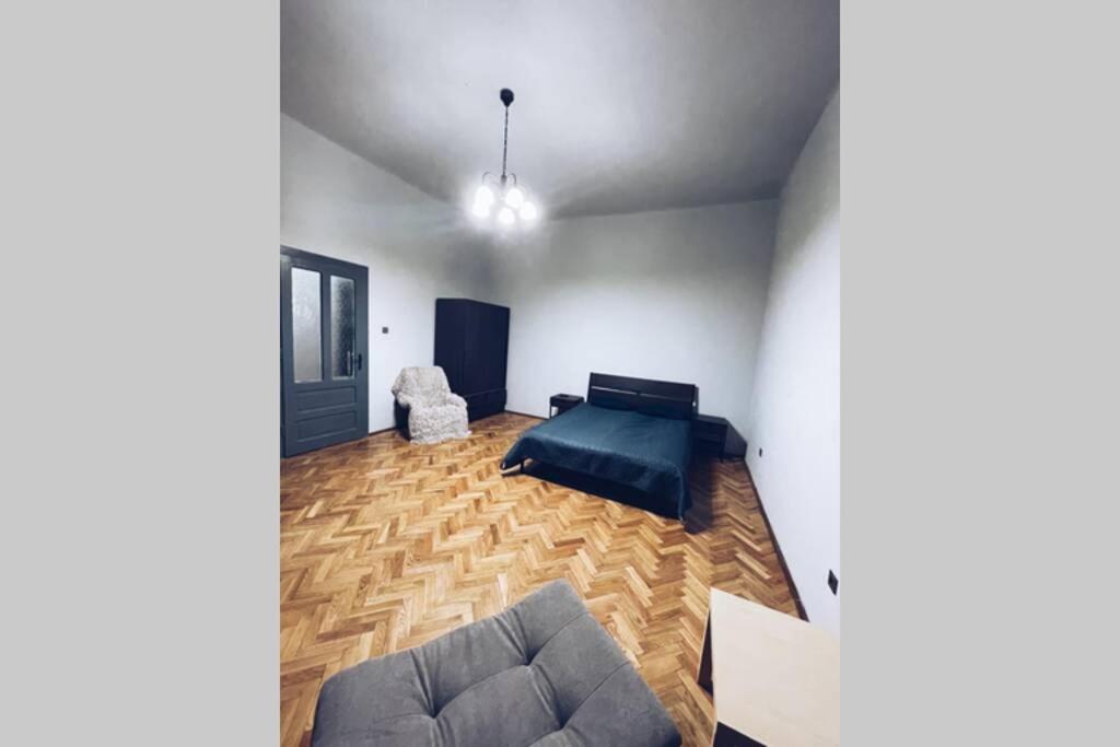 ☆Modern High Ceiling Apartment - Heart Of The City Oradea Exterior foto